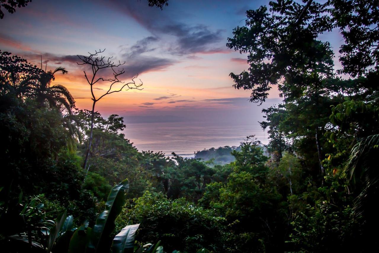 Lapa Rios Lodge By Boeena Puerto Jimenez Luaran gambar