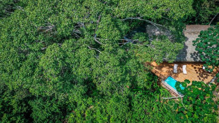 Lapa Rios Lodge By Boeena Puerto Jimenez Bilik gambar