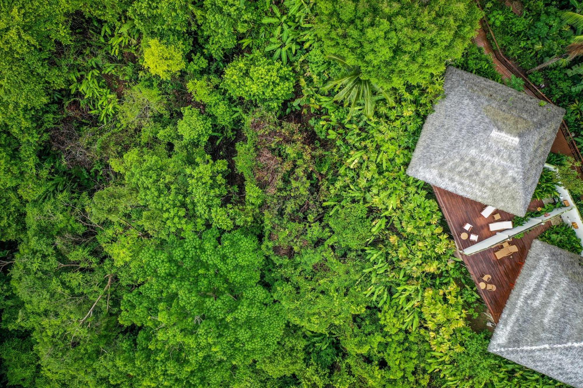 Lapa Rios Lodge By Boeena Puerto Jimenez Luaran gambar