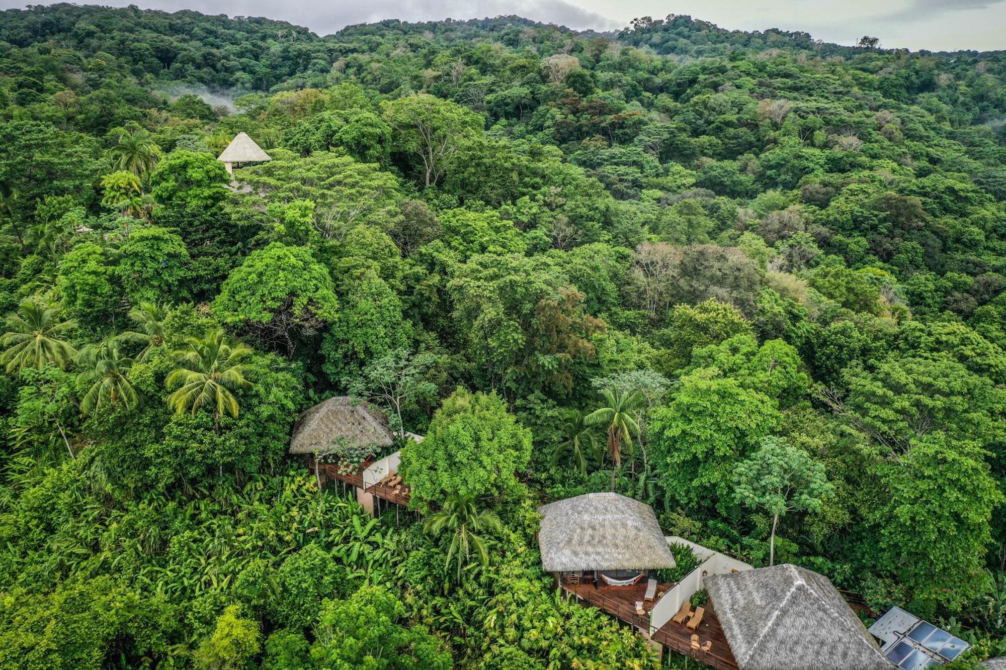 Lapa Rios Lodge By Boeena Puerto Jimenez Luaran gambar