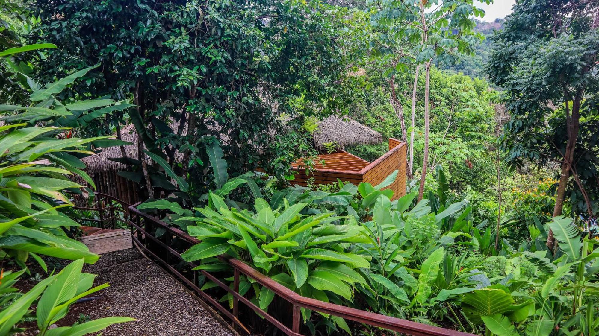 Lapa Rios Lodge By Boeena Puerto Jimenez Luaran gambar