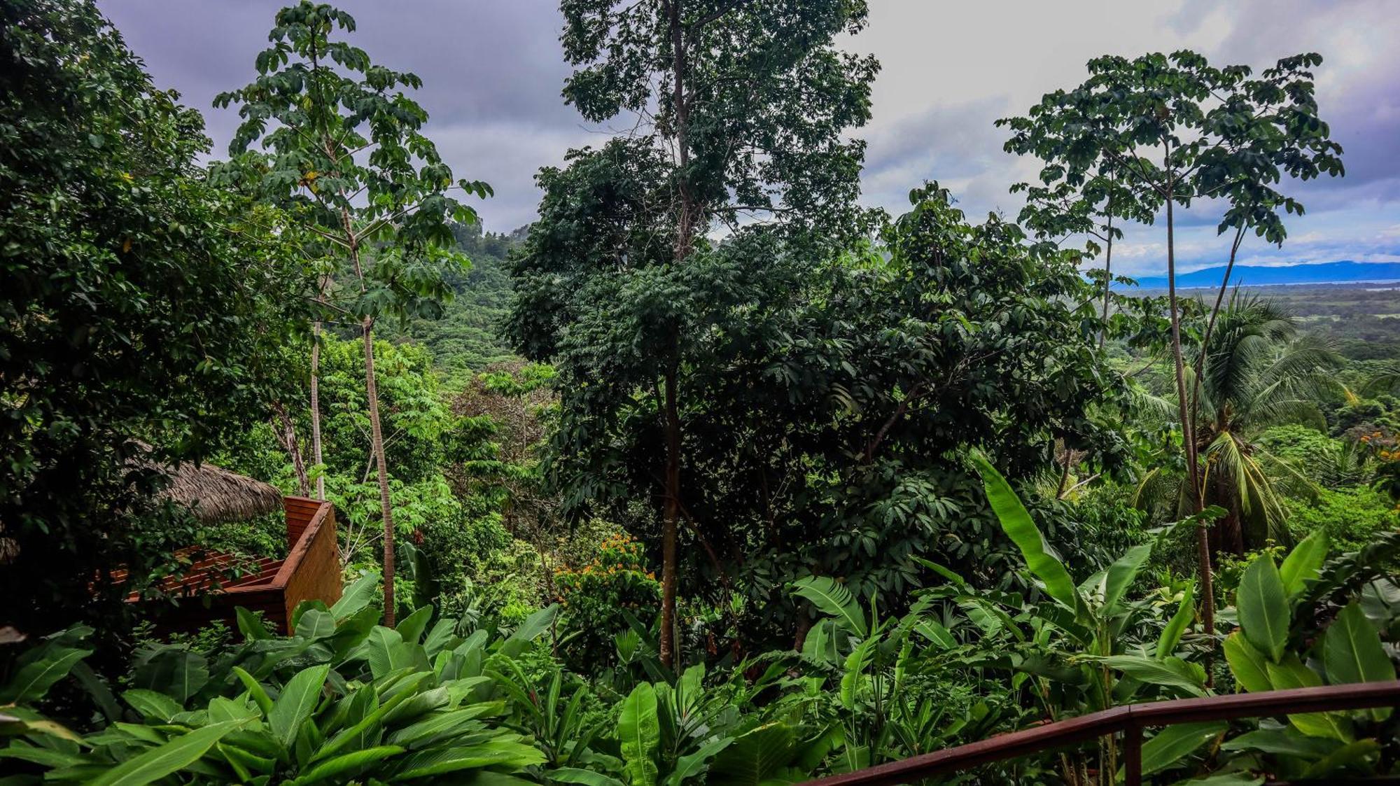 Lapa Rios Lodge By Boeena Puerto Jimenez Luaran gambar