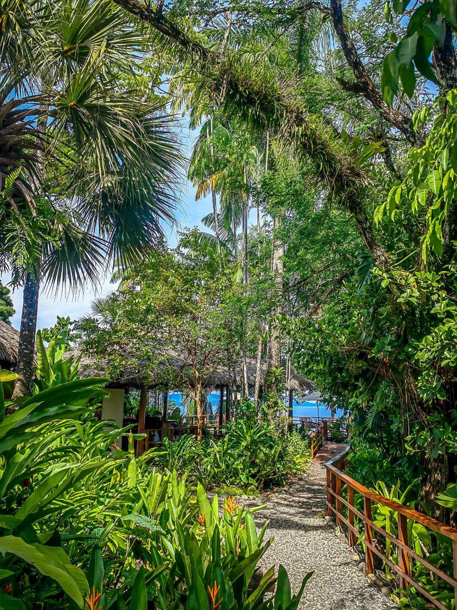 Lapa Rios Lodge By Boeena Puerto Jimenez Luaran gambar