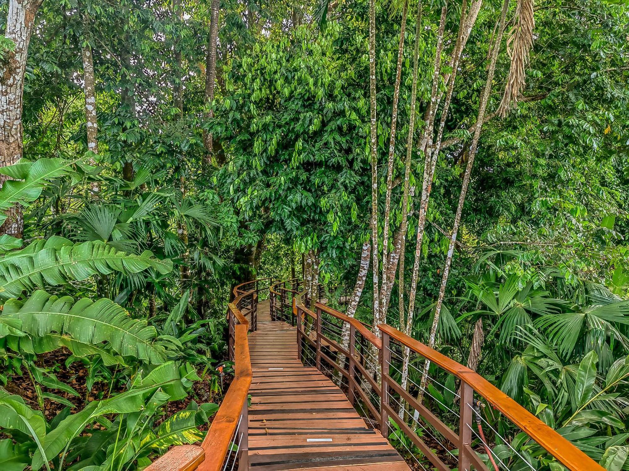 Lapa Rios Lodge By Boeena Puerto Jimenez Luaran gambar