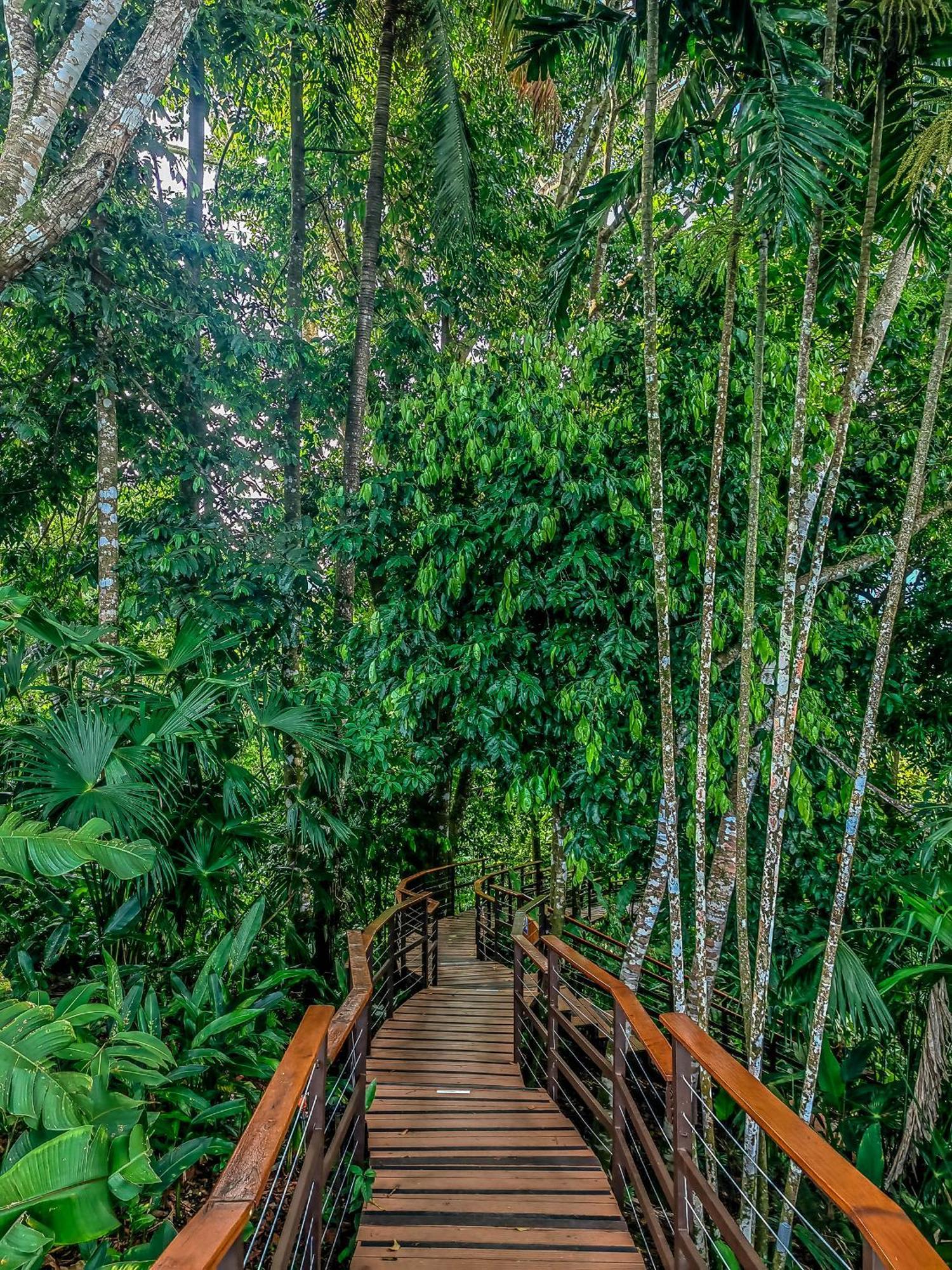 Lapa Rios Lodge By Boeena Puerto Jimenez Luaran gambar